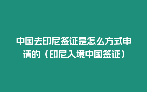 中國去印尼簽證是怎么方式申請的（印尼入境中國簽證）