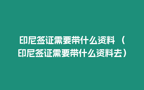 印尼簽證需要帶什么資料 （印尼簽證需要帶什么資料去）