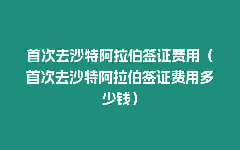 首次去沙特阿拉伯簽證費用（首次去沙特阿拉伯簽證費用多少錢）