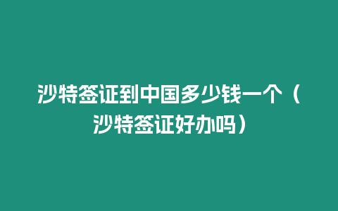 沙特簽證到中國多少錢一個（沙特簽證好辦嗎）