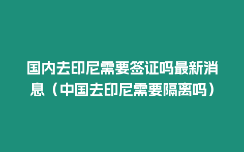 國內去印尼需要簽證嗎最新消息（中國去印尼需要隔離嗎）