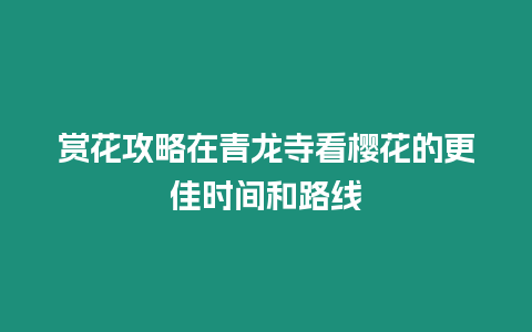 賞花攻略在青龍寺看櫻花的更佳時間和路線