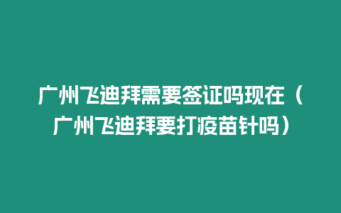 廣州飛迪拜需要簽證嗎現在（廣州飛迪拜要打疫苗針嗎）