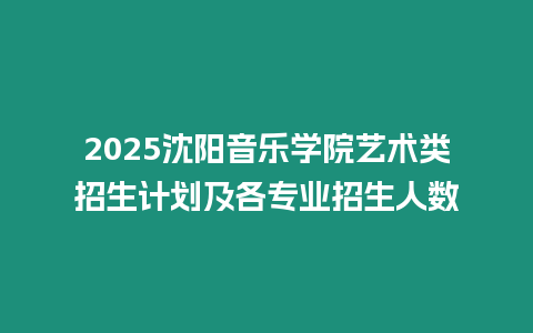 2025沈陽音樂學院藝術類招生計劃及各專業招生人數