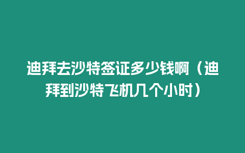 迪拜去沙特簽證多少錢啊（迪拜到沙特飛機幾個小時）