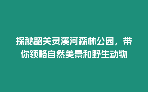 探秘韶關(guān)靈溪河森林公園，帶你領(lǐng)略自然美景和野生動(dòng)物