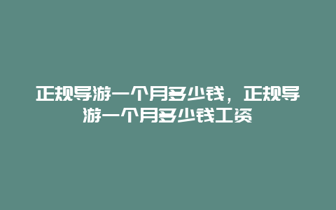 正規(guī)導(dǎo)游一個(gè)月多少錢，正規(guī)導(dǎo)游一個(gè)月多少錢工資