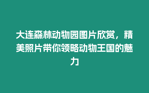 大連森林動物園圖片欣賞，精美照片帶你領略動物王國的魅力