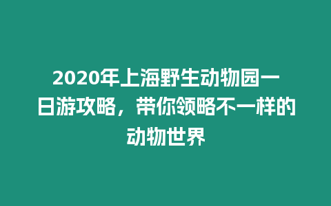 2020年上海野生動物園一日游攻略，帶你領略不一樣的動物世界