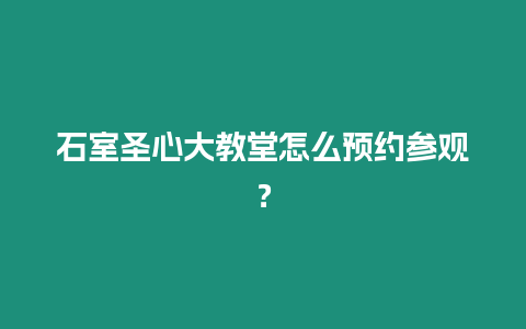 石室圣心大教堂怎么預約參觀？