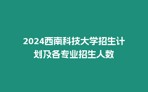 2024西南科技大學招生計劃及各專業招生人數