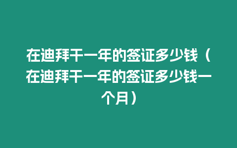 在迪拜干一年的簽證多少錢（在迪拜干一年的簽證多少錢一個月）