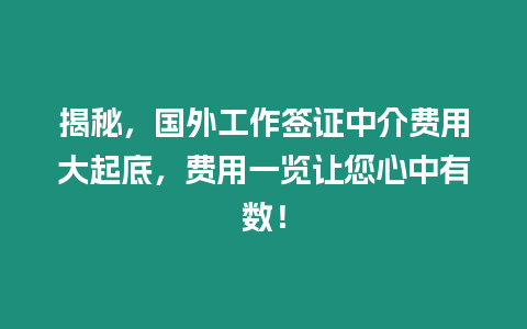 揭秘，國外工作簽證中介費用大起底，費用一覽讓您心中有數！