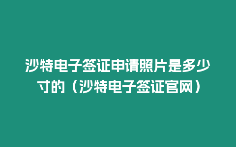 沙特電子簽證申請照片是多少寸的（沙特電子簽證官網）