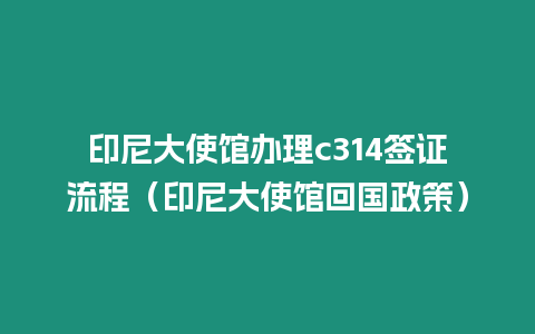 印尼大使館辦理c314簽證流程（印尼大使館回國政策）