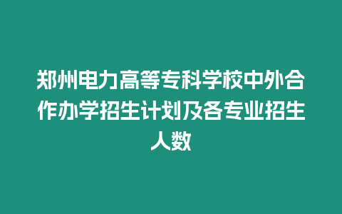 鄭州電力高等專科學校中外合作辦學招生計劃及各專業招生人數