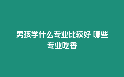 男孩學什么專業比較好 哪些專業吃香