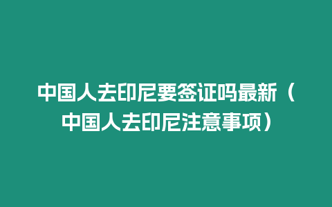 中國人去印尼要簽證嗎最新（中國人去印尼注意事項）