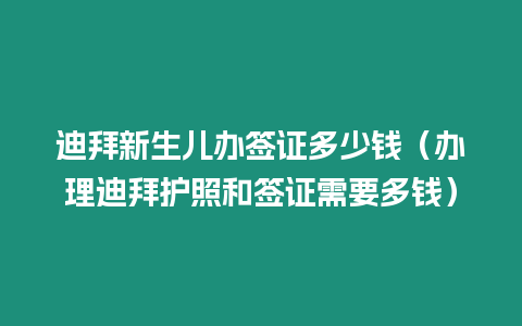 迪拜新生兒辦簽證多少錢（辦理迪拜護照和簽證需要多錢）