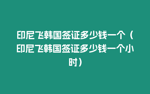 印尼飛韓國簽證多少錢一個（印尼飛韓國簽證多少錢一個小時）