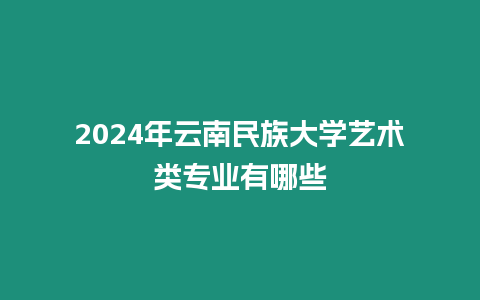 2024年云南民族大學藝術類專業有哪些