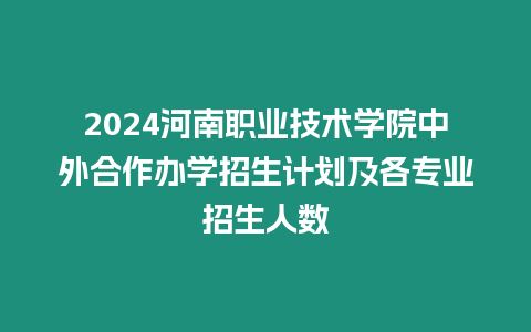 2024河南職業(yè)技術(shù)學(xué)院中外合作辦學(xué)招生計(jì)劃及各專業(yè)招生人數(shù)