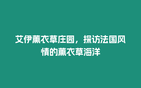 艾伊薰衣草莊園，探訪法國(guó)風(fēng)情的薰衣草海洋