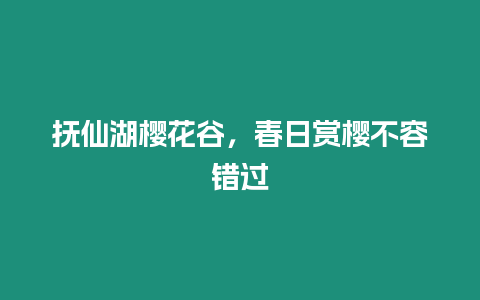 撫仙湖櫻花谷，春日賞櫻不容錯過