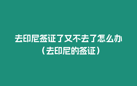 去印尼簽證了又不去了怎么辦（去印尼的簽證）