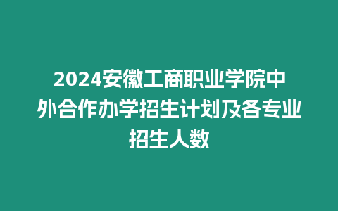 2024安徽工商職業學院中外合作辦學招生計劃及各專業招生人數