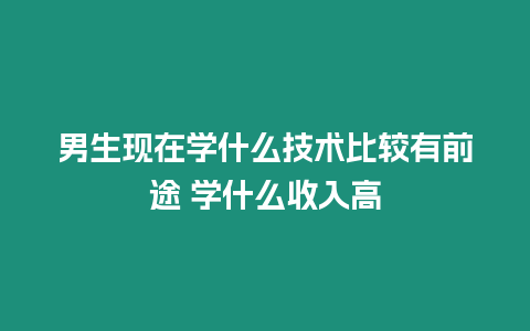 男生現在學什么技術比較有前途 學什么收入高