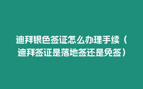 迪拜銀色簽證怎么辦理手續（迪拜簽證是落地簽還是免簽）