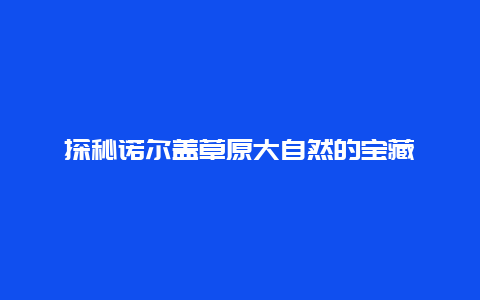 探秘諾爾蓋草原大自然的寶藏