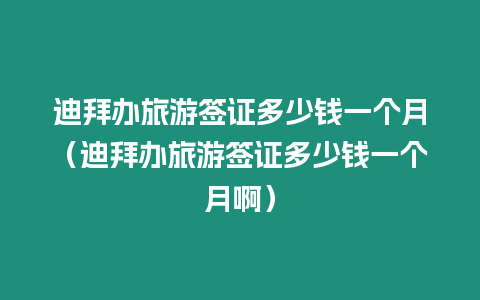 迪拜辦旅游簽證多少錢一個月（迪拜辦旅游簽證多少錢一個月啊）