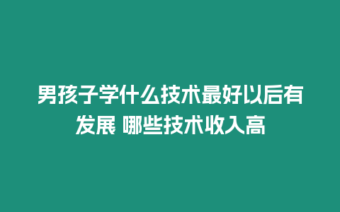 男孩子學什么技術最好以后有發展 哪些技術收入高