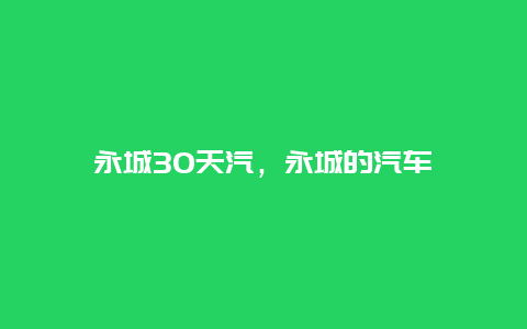 永城30天汽，永城的汽車