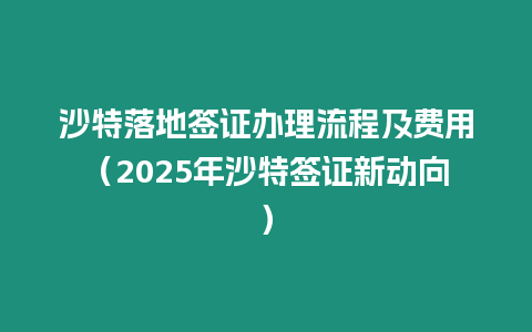 沙特落地簽證辦理流程及費(fèi)用（2025年沙特簽證新動(dòng)向）