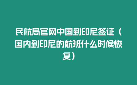 民航局官網中國到印尼簽證（國內到印尼的航班什么時候恢復）