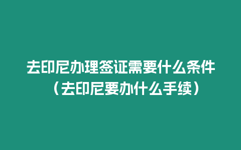 去印尼辦理簽證需要什么條件 （去印尼要辦什么手續）