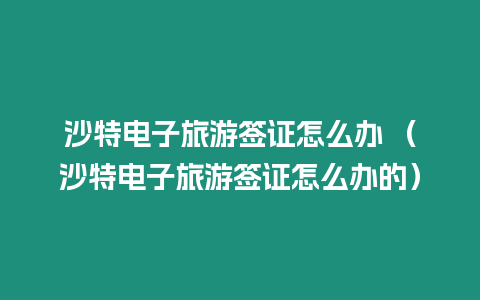 沙特電子旅游簽證怎么辦 （沙特電子旅游簽證怎么辦的）