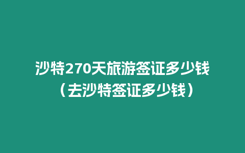 沙特270天旅游簽證多少錢（去沙特簽證多少錢）