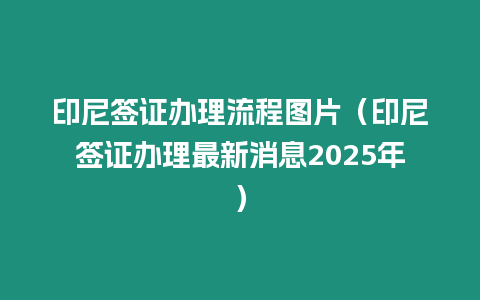 印尼簽證辦理流程圖片（印尼簽證辦理最新消息2025年）