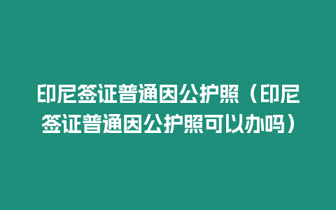 印尼簽證普通因公護照（印尼簽證普通因公護照可以辦嗎）