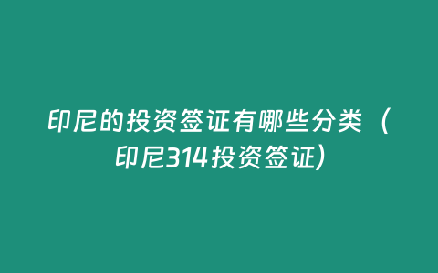 印尼的投資簽證有哪些分類（印尼314投資簽證）