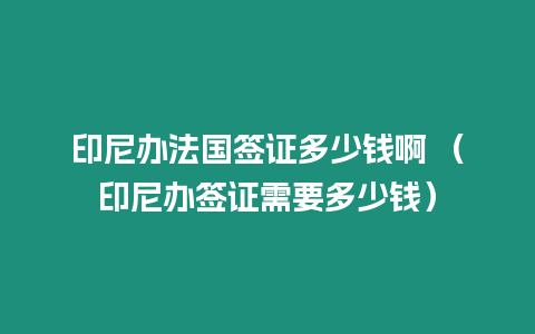 印尼辦法國簽證多少錢啊 （印尼辦簽證需要多少錢）