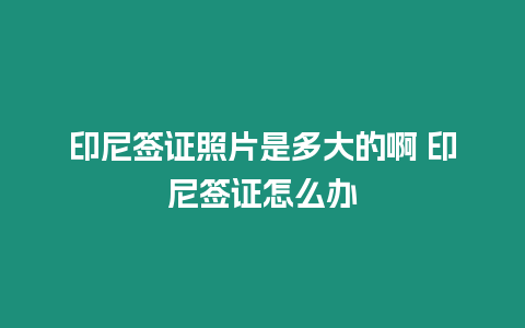 印尼簽證照片是多大的啊 印尼簽證怎么辦