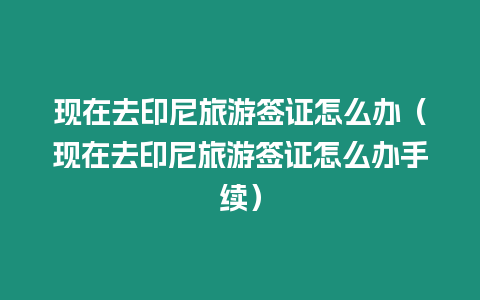 現在去印尼旅游簽證怎么辦（現在去印尼旅游簽證怎么辦手續）