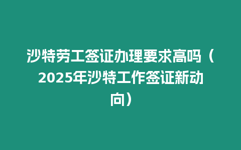 沙特勞工簽證辦理要求高嗎（2025年沙特工作簽證新動向）