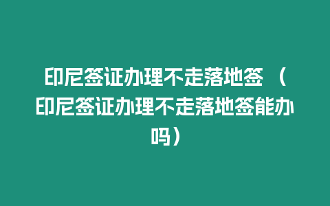 印尼簽證辦理不走落地簽 （印尼簽證辦理不走落地簽能辦嗎）