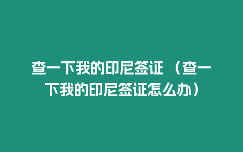 查一下我的印尼簽證 （查一下我的印尼簽證怎么辦）